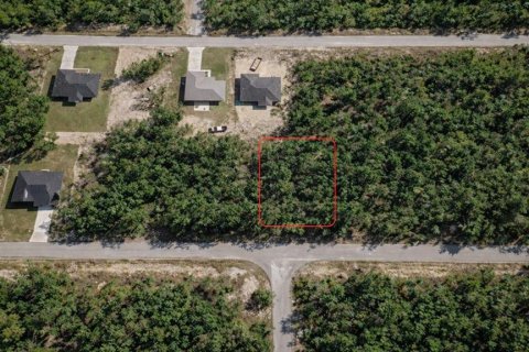 Land in Ocklawaha, Florida № 2225315