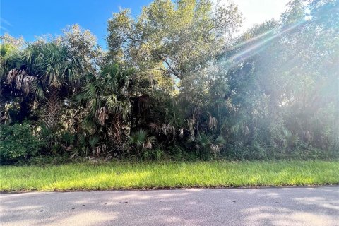 Land in Port Charlotte, Florida № 2159289