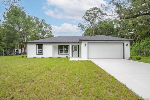 Villa ou maison à vendre à Inverness, Floride: 3 chambres, 113.53 m2 № 1883737 - photo 1