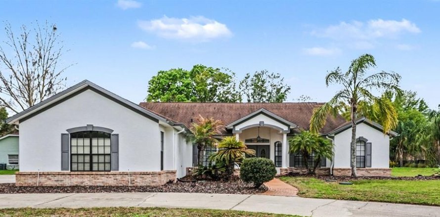 House in Lutz, Florida 4 bedrooms, 236.34 sq.m. № 2098481