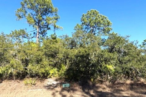 Land in Lake Placid, Florida № 2158274 - photo 2