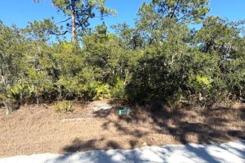 Land in Lake Placid, Florida № 2158274
