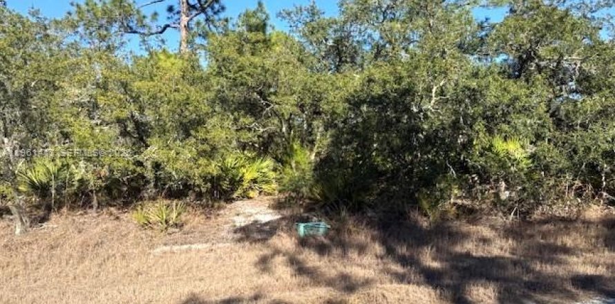 Land in Lake Placid, Florida № 2158274