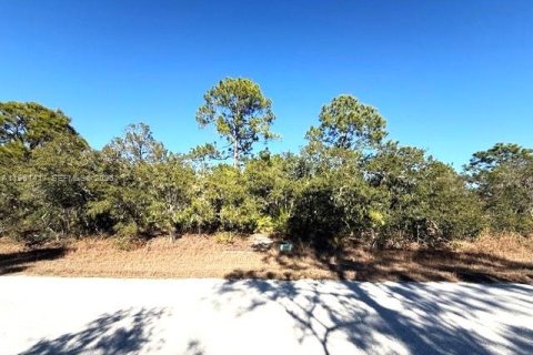 Land in Lake Placid, Florida № 2158274 - photo 3