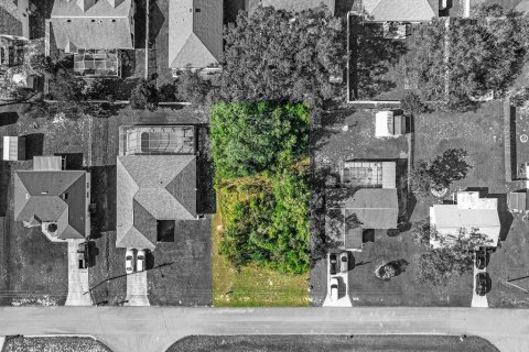 Land in Spring Hill, Florida № 1913850 - photo 5