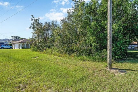 Land in Spring Hill, Florida № 1913850 - photo 3