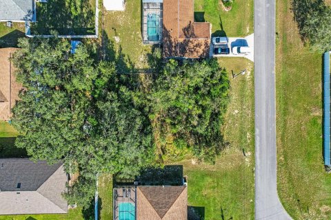 Land in Spring Hill, Florida № 1913850 - photo 9