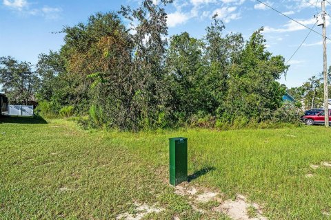 Land in Spring Hill, Florida № 1913850 - photo 2