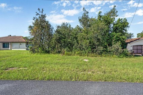 Land in Spring Hill, Florida № 1913850 - photo 1
