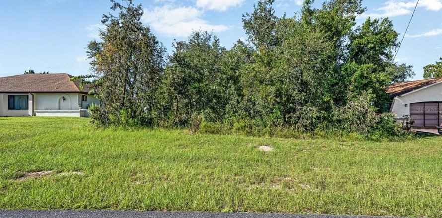 Land in Spring Hill, Florida № 1913850