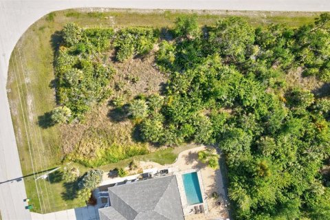 Land in Port Charlotte, Florida № 2105853 - photo 8
