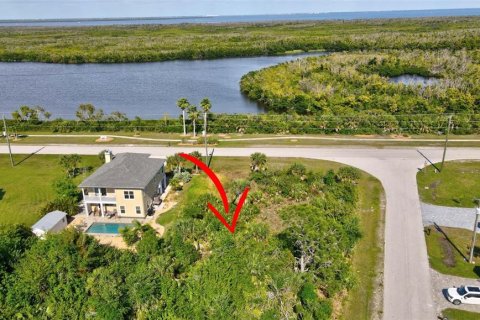 Land in Port Charlotte, Florida № 2105853 - photo 4