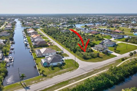Land in Port Charlotte, Florida № 2105853 - photo 3