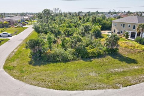 Land in Port Charlotte, Florida № 2105853 - photo 6