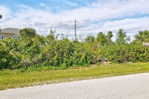 Land in Port Charlotte, Florida № 2105853 - photo 11