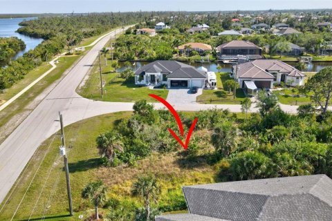 Land in Port Charlotte, Florida № 2105853 - photo 16