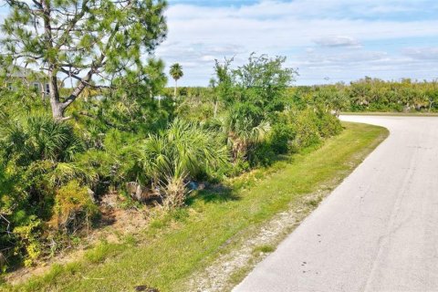 Land in Port Charlotte, Florida № 2105853 - photo 22