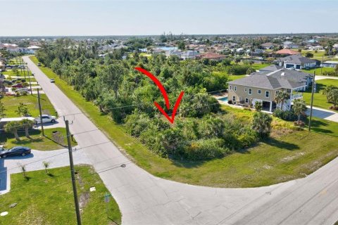 Land in Port Charlotte, Florida № 2105853 - photo 21