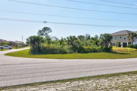 Land in Port Charlotte, Florida № 2105853 - photo 7