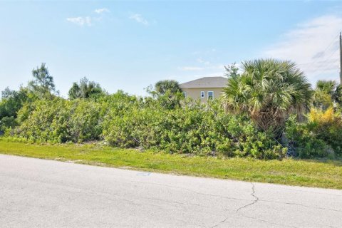 Land in Port Charlotte, Florida № 2105853 - photo 12