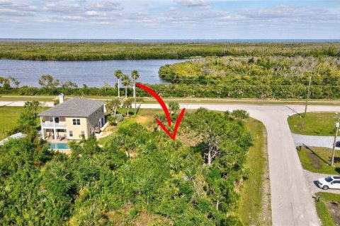 Land in Port Charlotte, Florida № 2105853 - photo 9