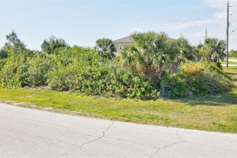 Land in Port Charlotte, Florida № 2105853 - photo 24