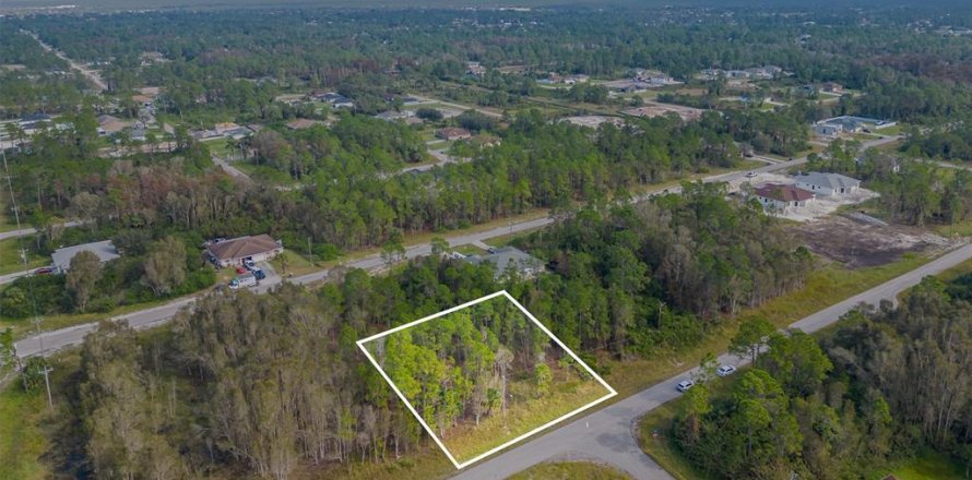 Land in Lehigh Acres, Florida № 1426631