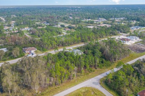 Land in Lehigh Acres, Florida № 1426631 - photo 2