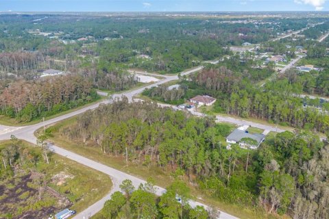 Land in Lehigh Acres, Florida № 1426631 - photo 7