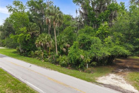 Terrain à Micanopy, Floride № 2214191