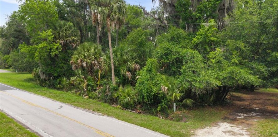 Terrain à Micanopy, Floride № 2214191
