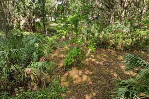 Terrain à vendre à Micanopy, Floride № 2214191 - photo 3