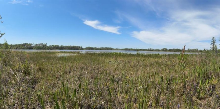 Land in Groveland, Florida № 1725054