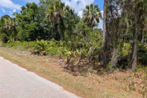 Land in North Port, Florida № 2166769