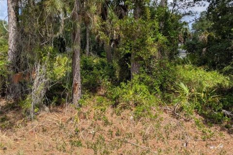 Land in North Port, Florida № 2166769 - photo 6