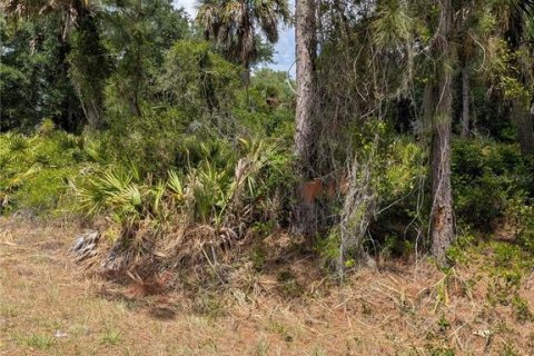 Land in North Port, Florida № 2166769 - photo 8