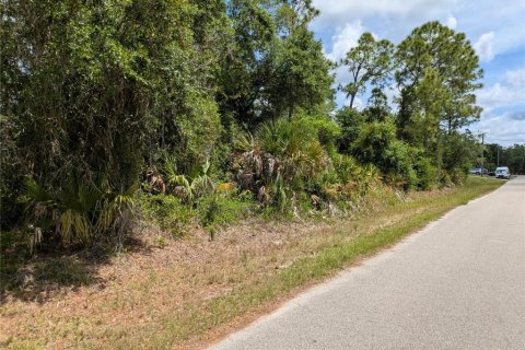 Land in North Port, Florida № 2166769 - photo 4