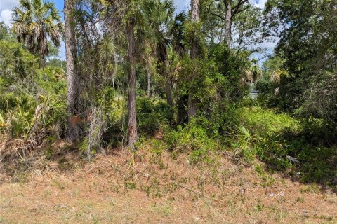 Land in North Port, Florida № 2166769 - photo 2