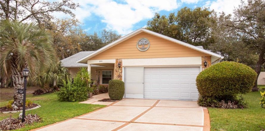 Villa ou maison à Spring Hill, Floride 2 chambres, 160.54 m2 № 1523976