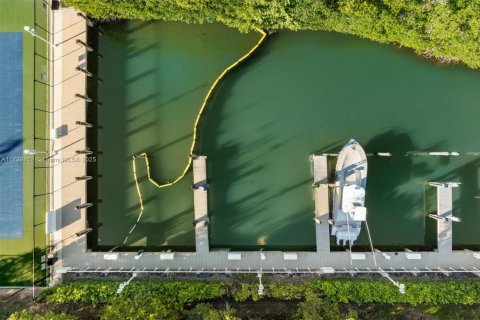 House in Coral Gables, Florida 7 bedrooms, 591.88 sq.m. № 1983216 - photo 24