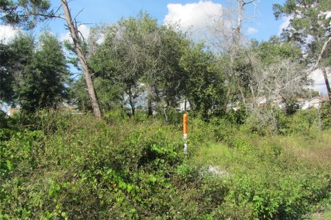 Terrain à vendre à Deltona, Floride № 214626 - photo 4