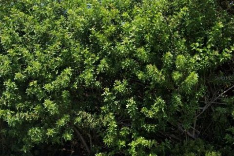 Купить земельный участок в Энглвуд, Флорида № 2214354 - фото 3