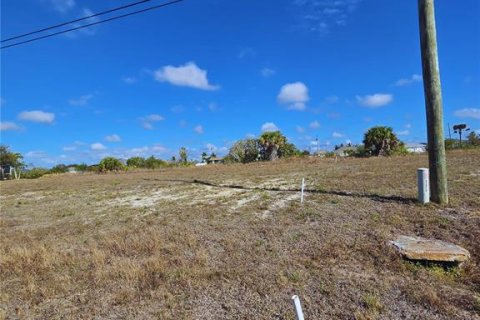 Land in Cape Coral, Florida № 2200750 - photo 2