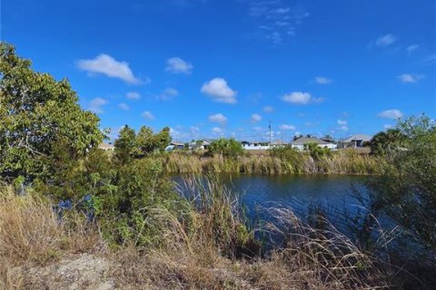 Land in Cape Coral, Florida № 2200750 - photo 5