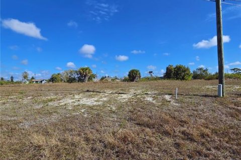 Land in Cape Coral, Florida № 2200750 - photo 6