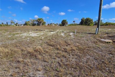 Land in Cape Coral, Florida № 2200750 - photo 4
