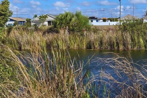 Land in Cape Coral, Florida № 2200750 - photo 3