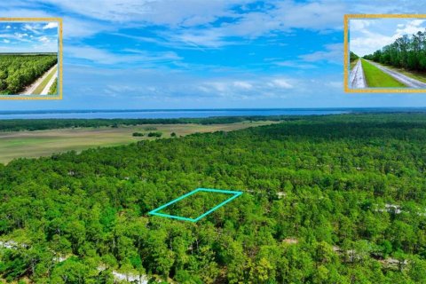 Land in Indian lake estates, Florida № 2162291 - photo 5