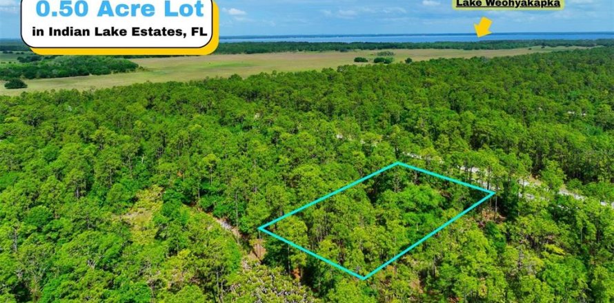Land in Indian lake estates, Florida № 2162291