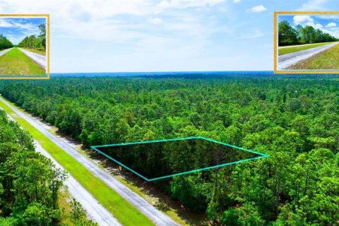 Land in Indian lake estates, Florida № 2162291 - photo 2